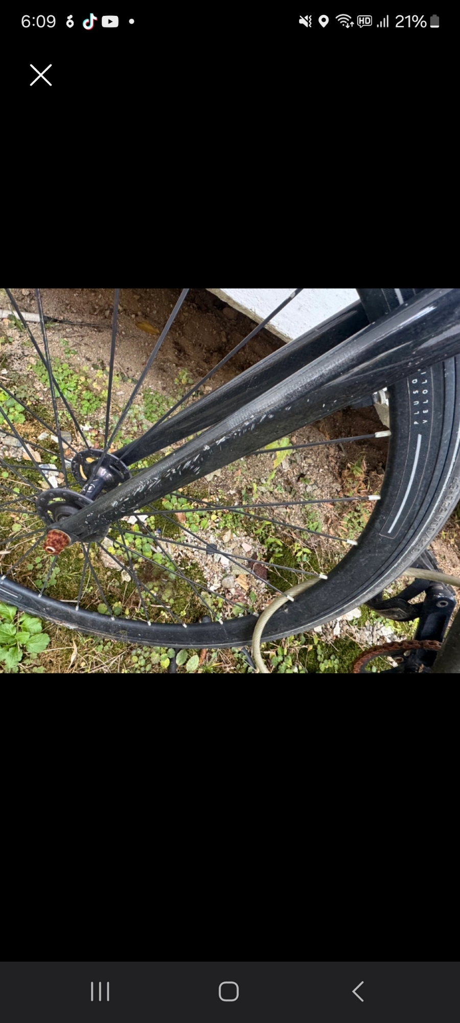 벨로라인 스텔스 픽시자전거 | 데얼스 아웃도어 전문 플랫폼