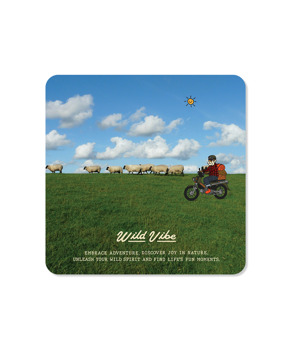 와일드바이브 일회용 종이 컵 코스터 | 데얼스 아웃도어 전문 플랫폼