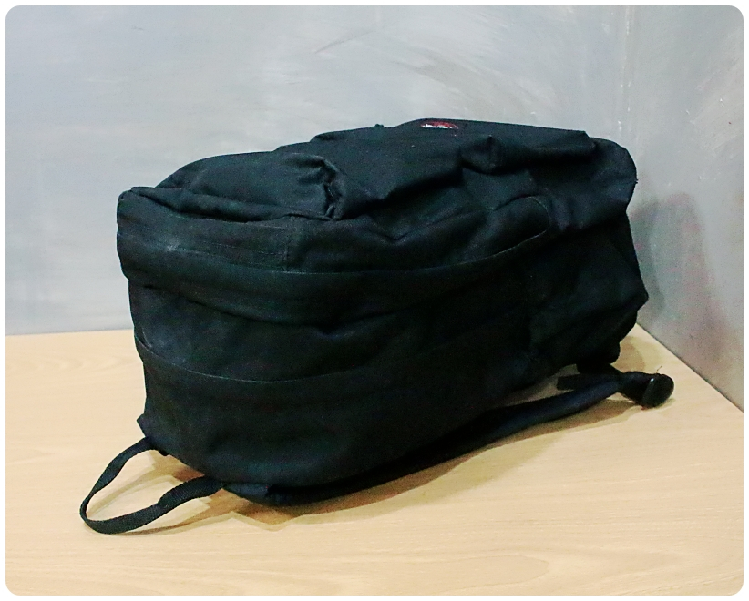 이스트팩 팔톤 백팩 | 데얼스 아웃도어 전문 플랫폼