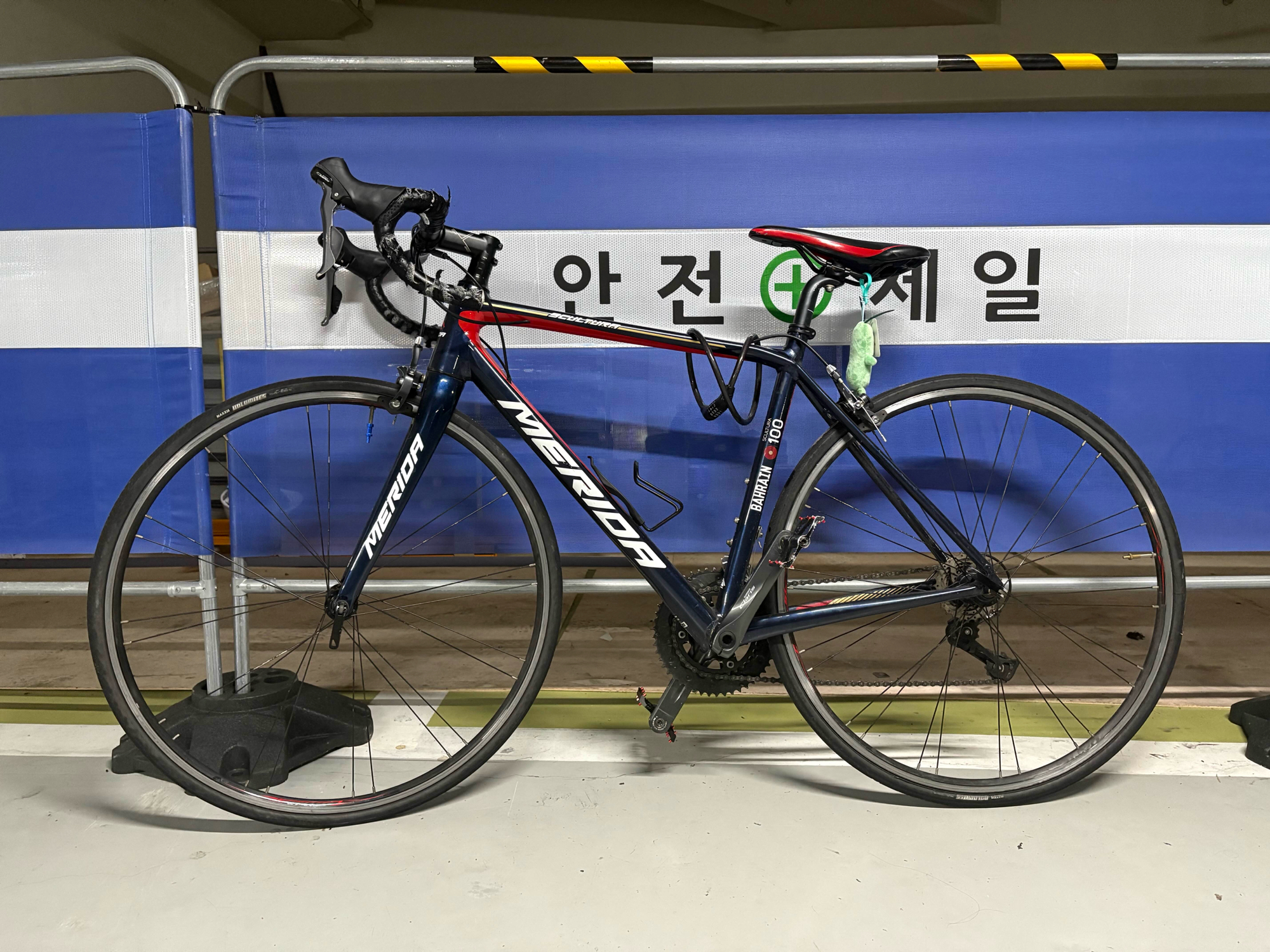 메리다 스컬트라100 팀바레인 팔아요 | 데얼스 아웃도어 전문 플랫폼