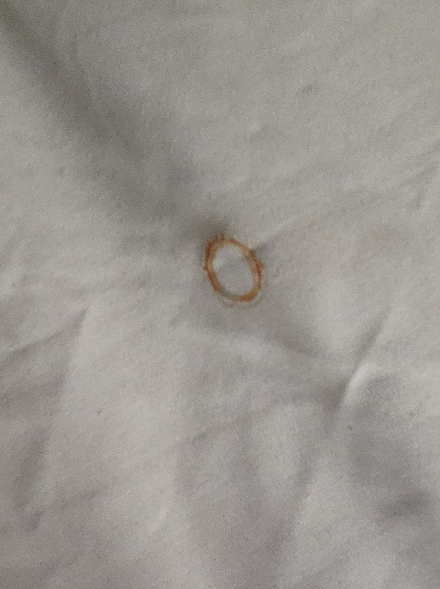 오크돔s + 베스티블 | 데얼스 아웃도어 전문 플랫폼