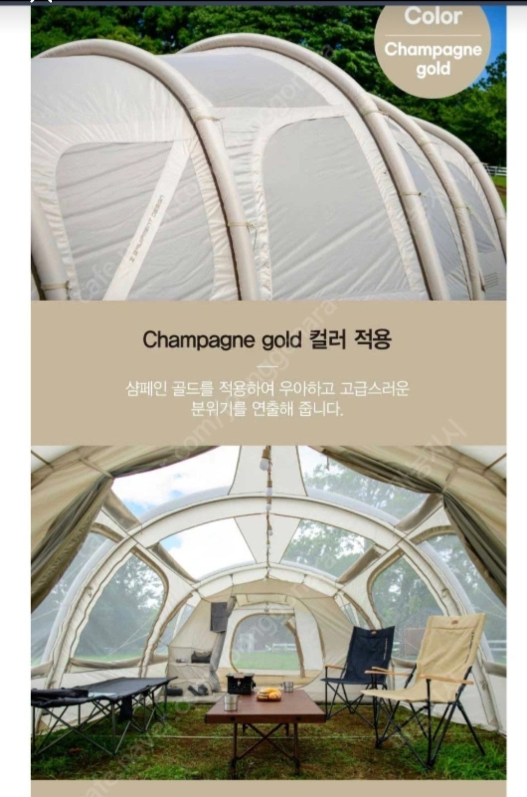 제드코리아 제드 티맥스 에어 텐트 샴페인골드 | 데얼스 아웃도어 전문 플랫폼