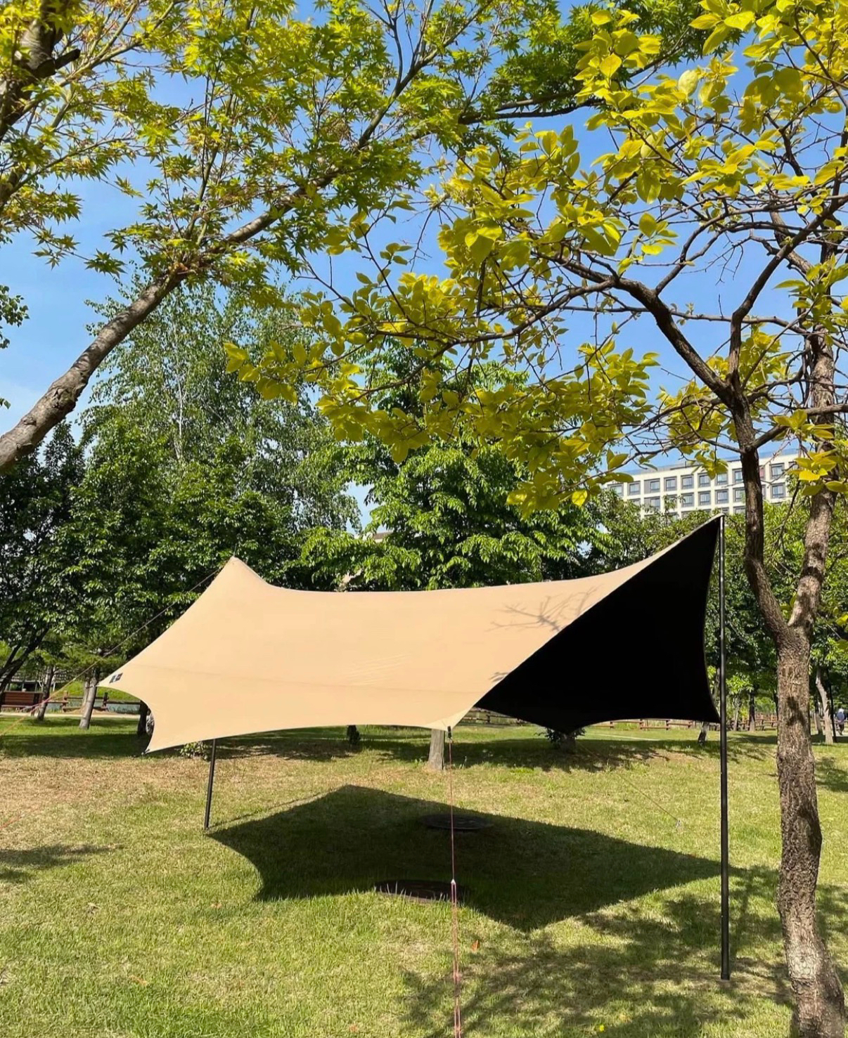 꼴로르 옥타 타프 탄 컬러 | 데얼스 아웃도어 전문 플랫폼