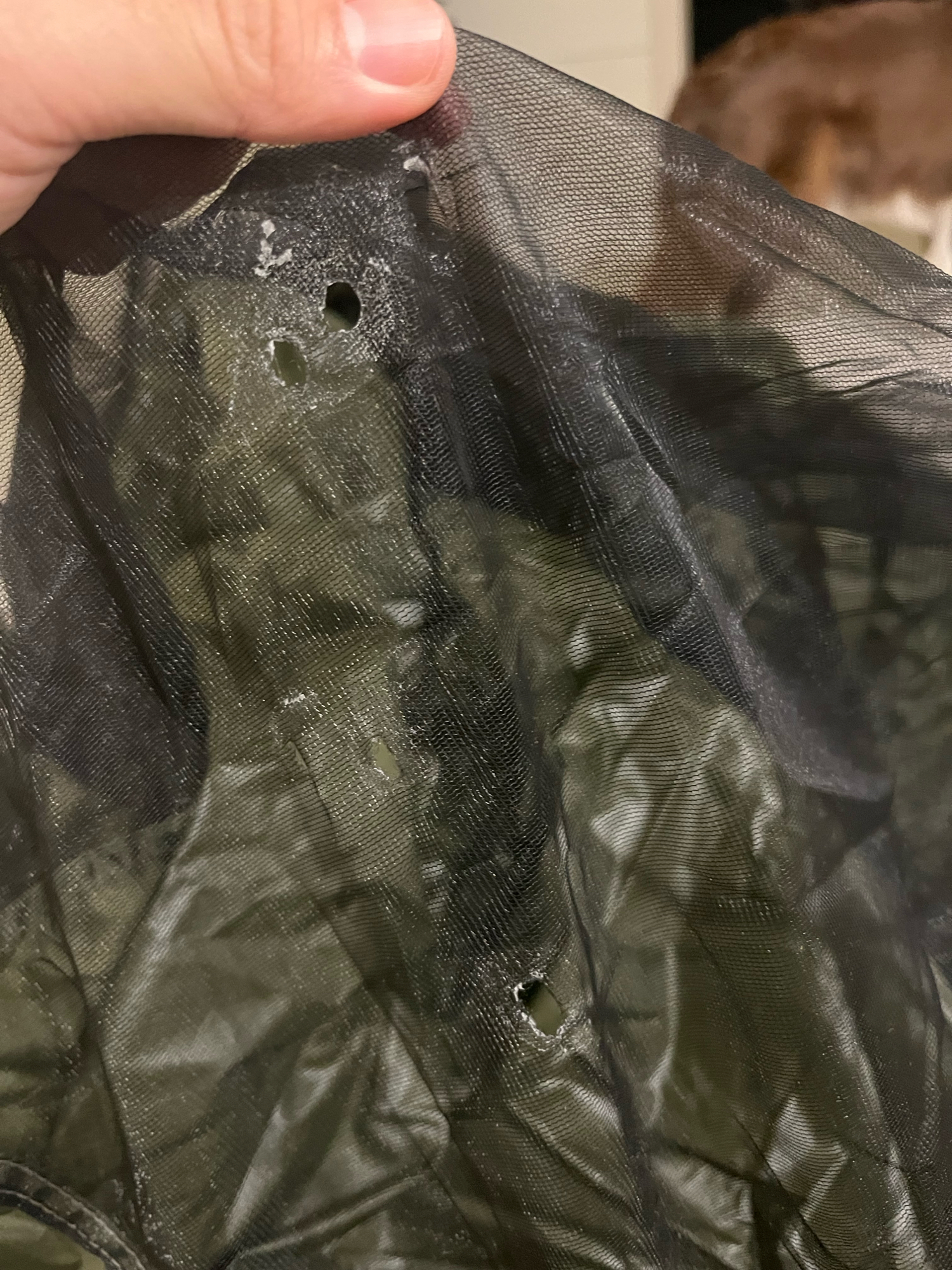 위오 제네스 라바쉘터 XL 4계절 쉘터(카키) | 데얼스 아웃도어 전문 플랫폼