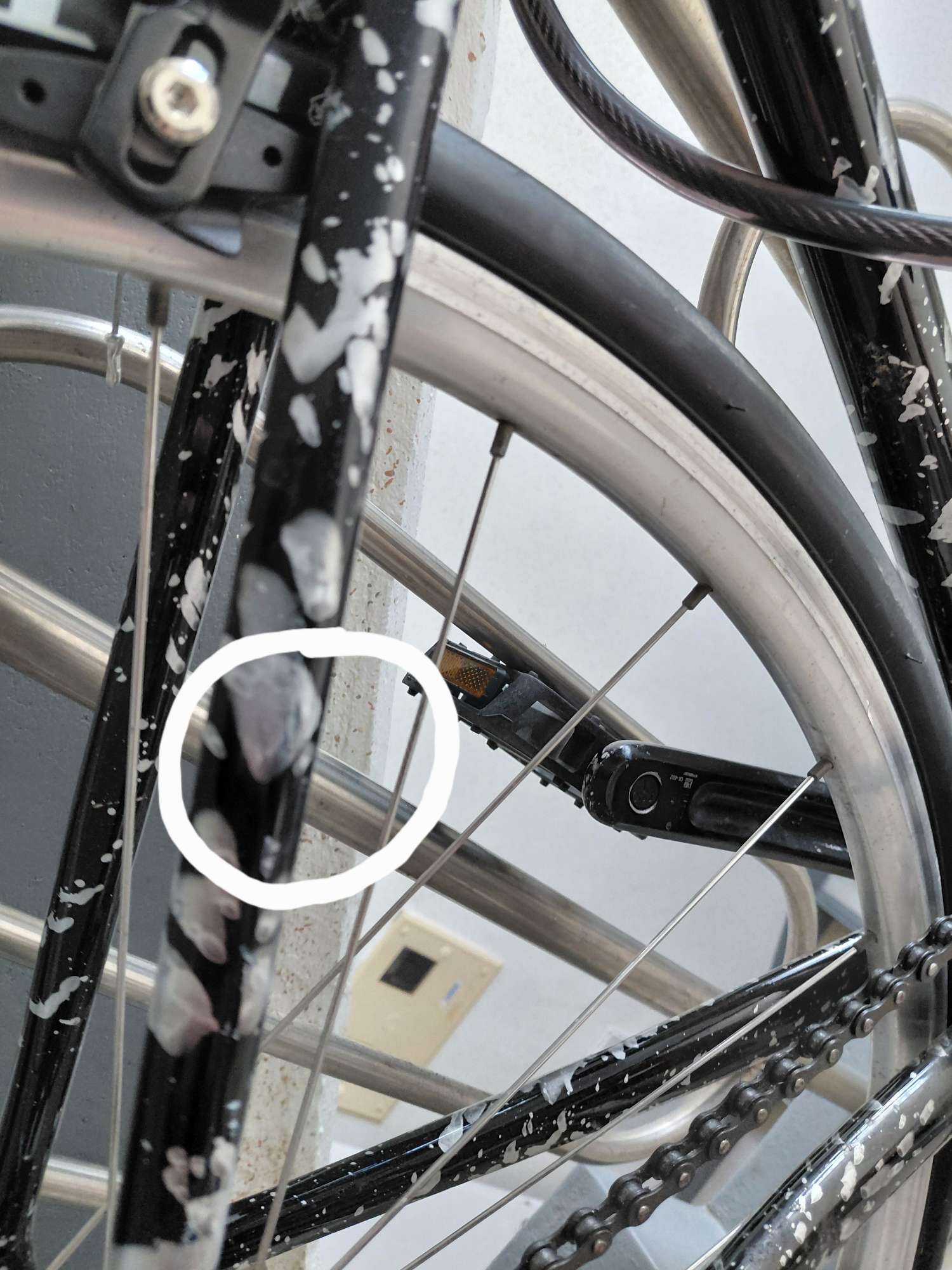 쓰나미 불꽃블랙픽시 완차 판매 또는 대차합니다 | 데얼스 아웃도어 전문 플랫폼