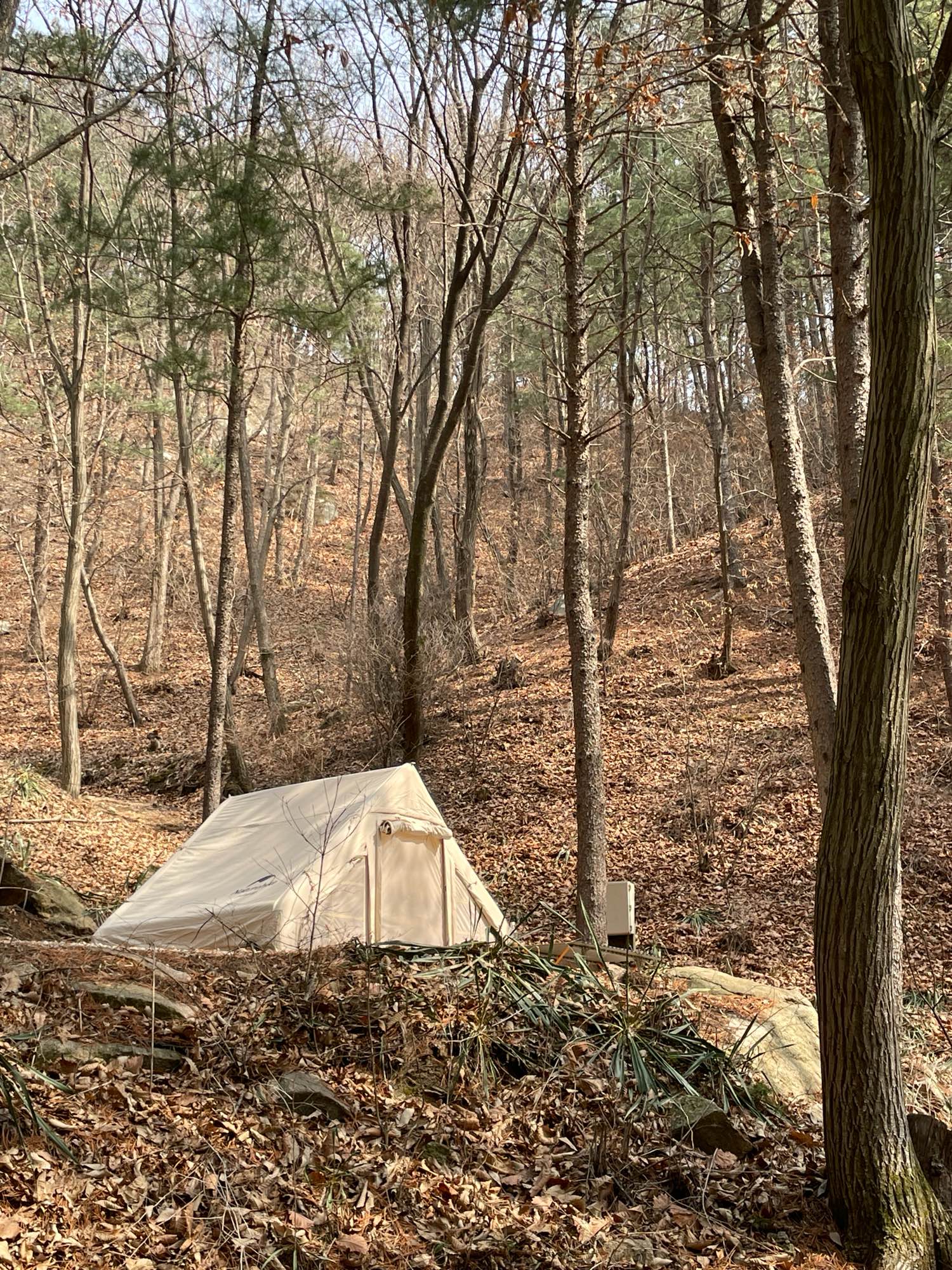 네이처하이크 6.3 + 기타캠핑용품 | 데얼스 아웃도어 전문 플랫폼