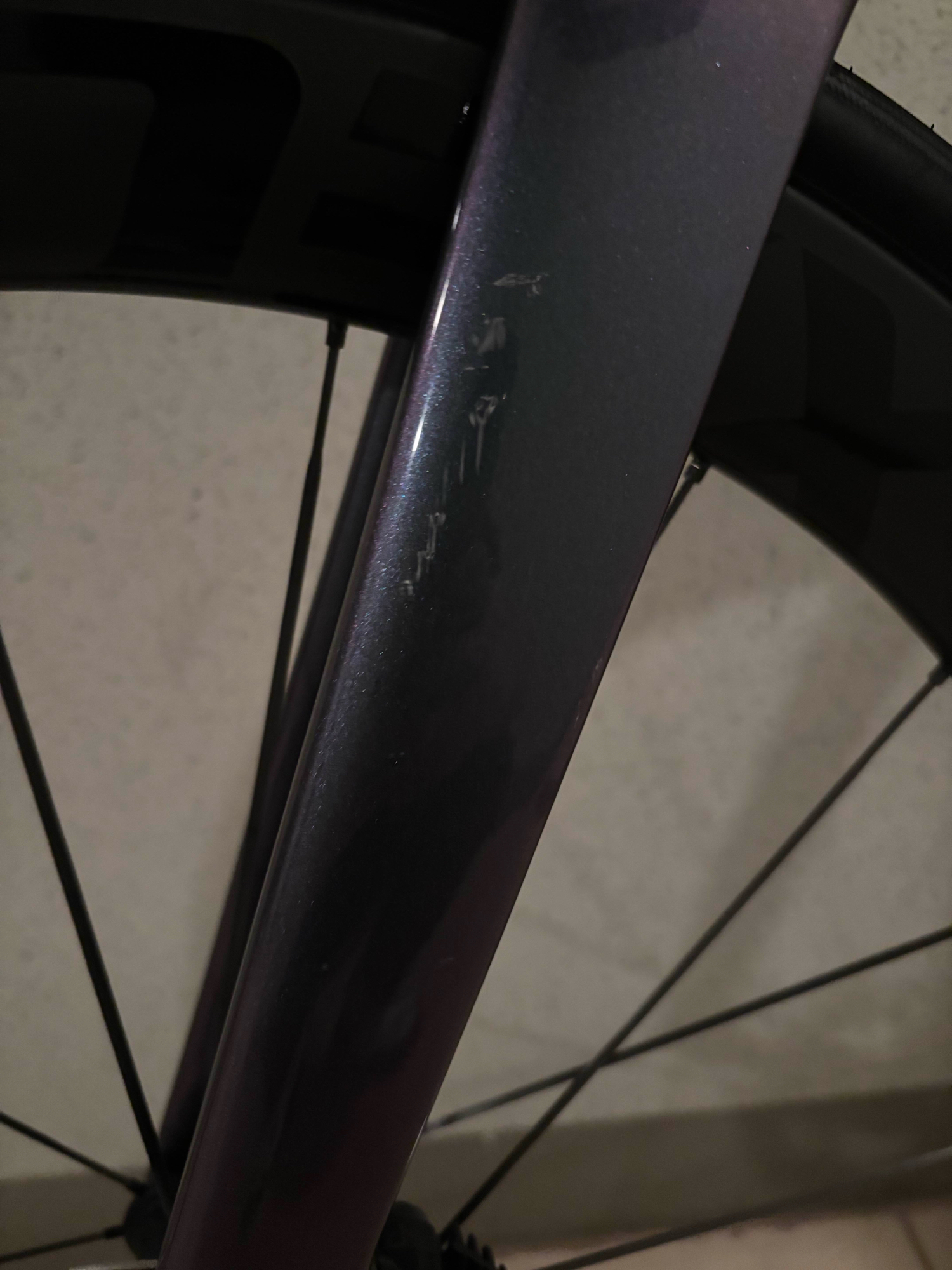 자이언트 프로펠 어드밴스1 2025년식 | 데얼스 아웃도어 전문 플랫폼