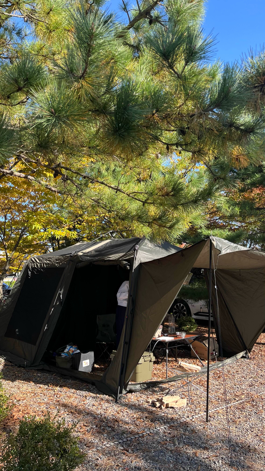 빈스메시프 이지투 오토 리빙쉘텐트 | 데얼스 아웃도어 전문 플랫폼