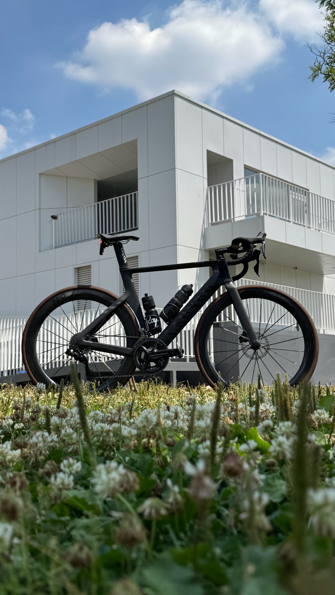 캐니언 에어로드 로드 CFR 시마노 듀라에이스 No6 | 데얼스 아웃도어 전문 플랫폼