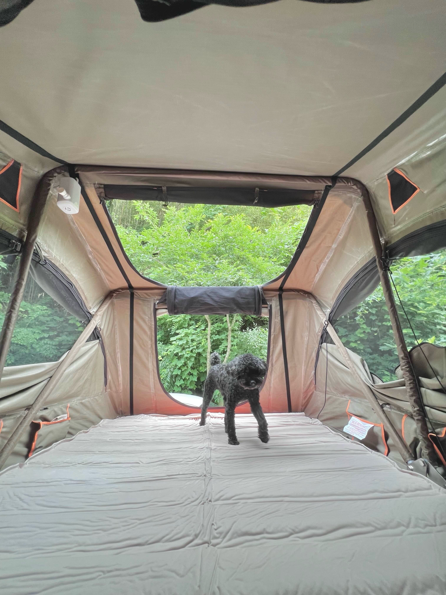 다치이클립스 루프탑 텐트+어넥스+툴레가로바+자충매트10cm+텐트전용신발주머니 | 데얼스 아웃도어 전문 플랫폼