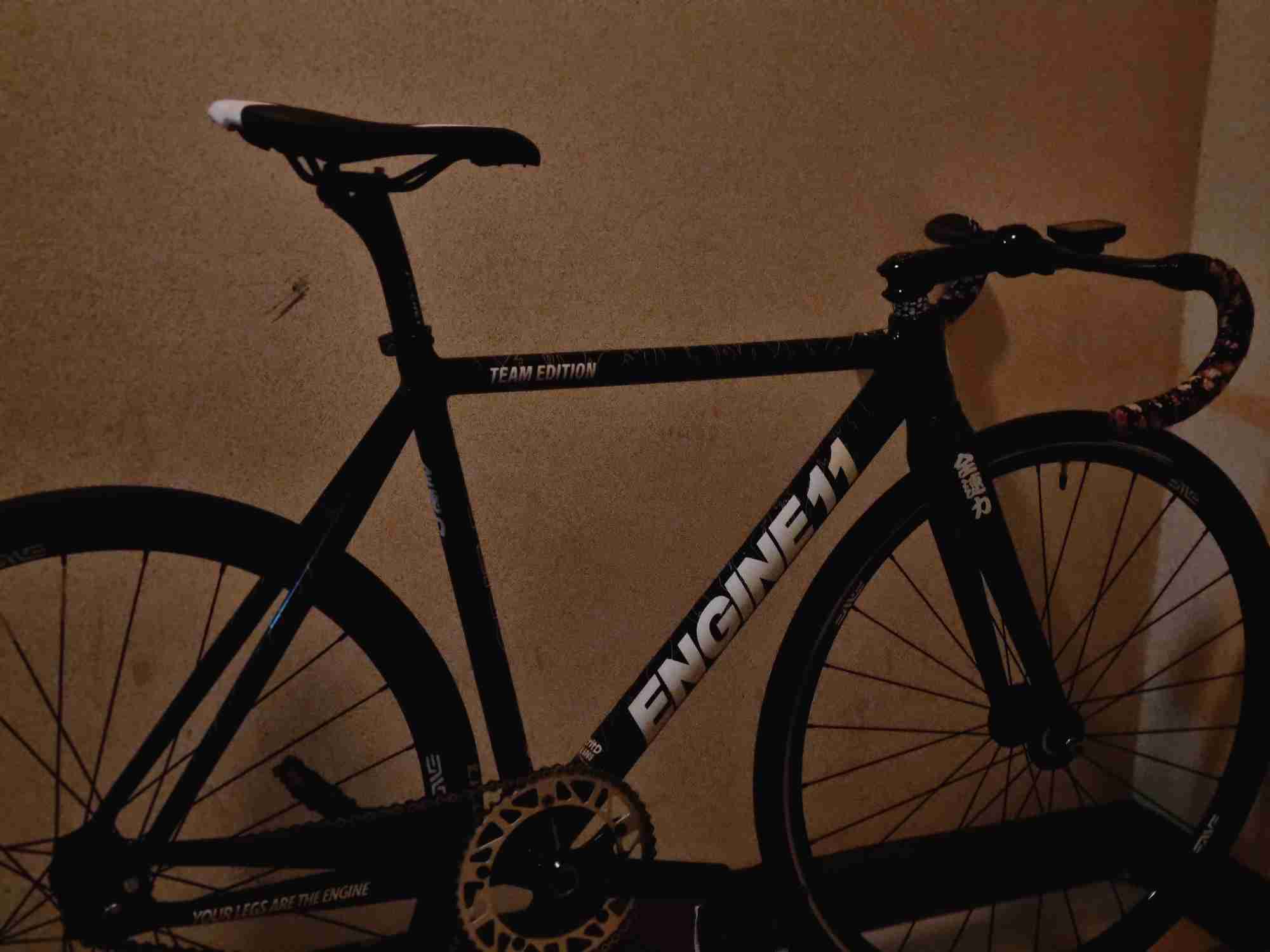 엔진11 크릿디 팀에디션 판/대 | 데얼스 아웃도어 전문 플랫폼