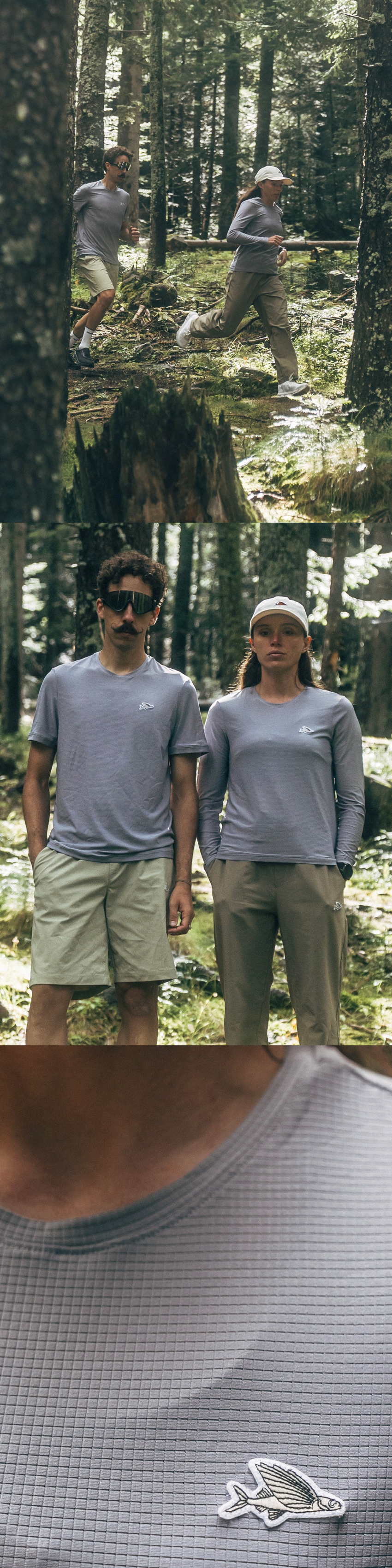 T Ambre LS W ST 4.png