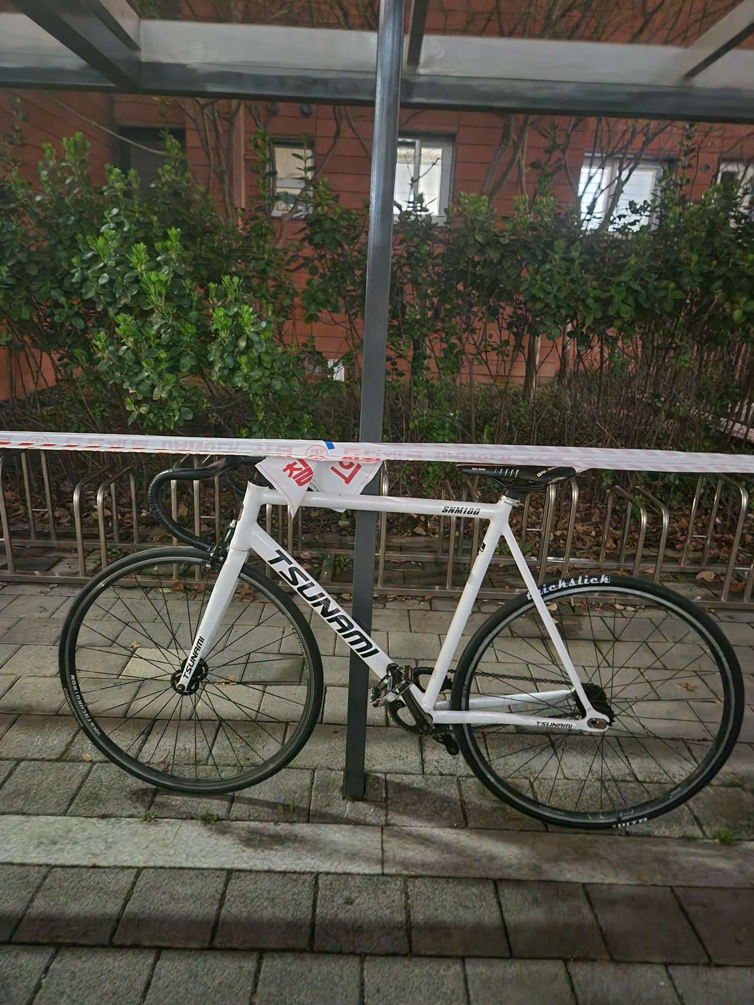 쓰나미 하얀색 판매/대차(가격 많이내림 내고 가능) | 데얼스 아웃도어 전문 플랫폼