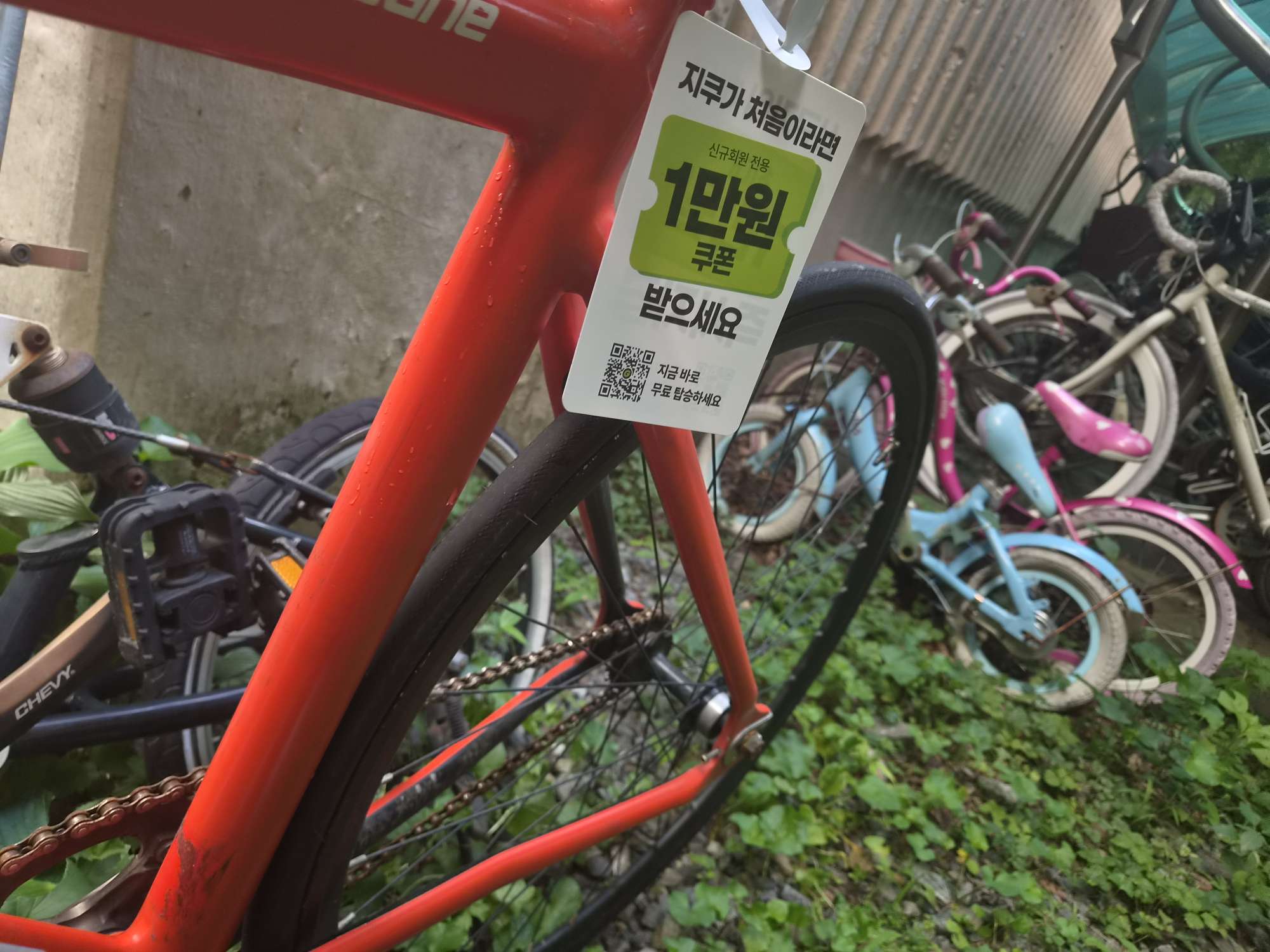 픽시 자전거 콘스탄틴 20216년식 어베인 | 데얼스 아웃도어 전문 플랫폼
