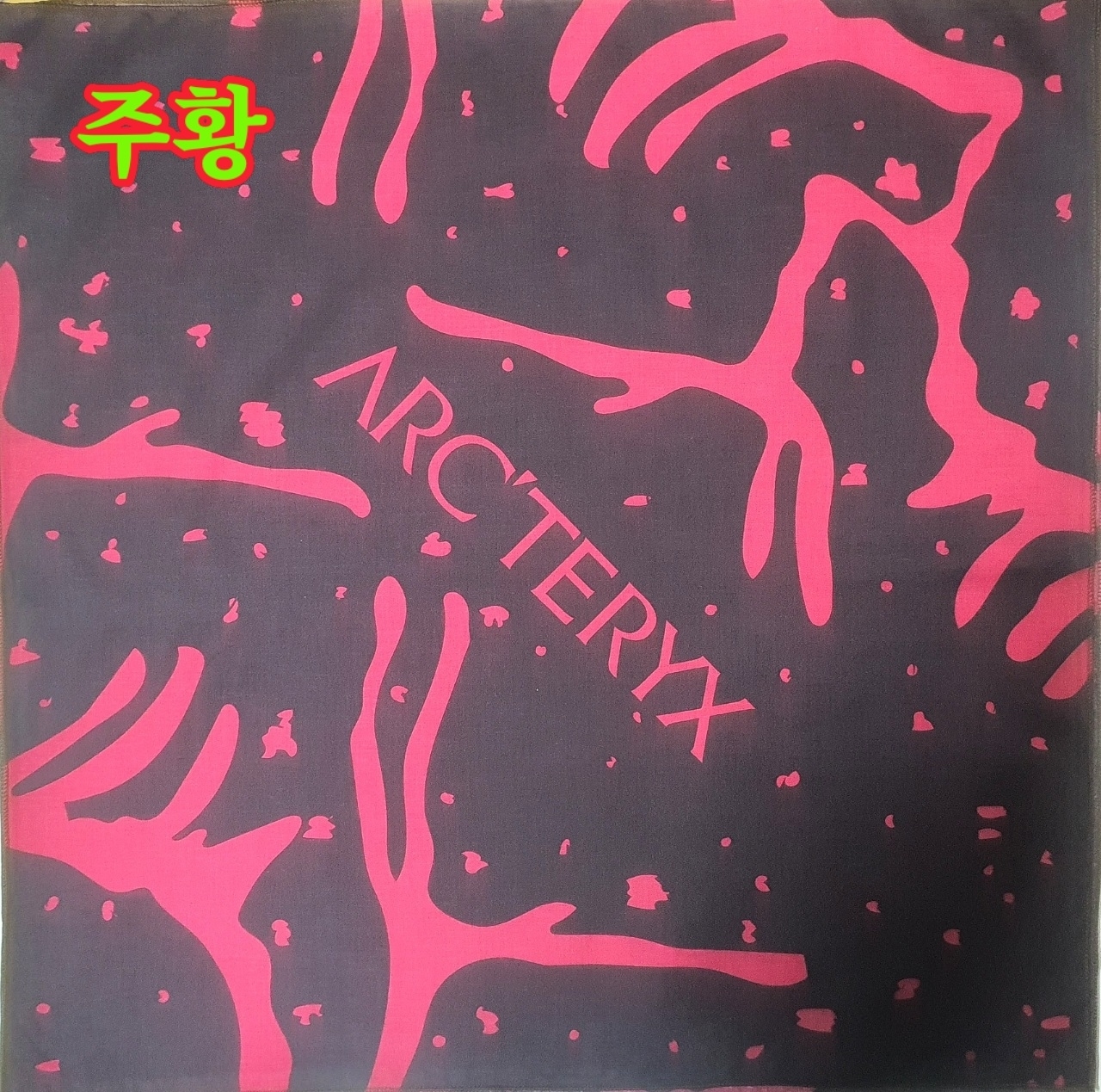 아크테릭스 스켈레톤  반다나 | 데얼스 아웃도어 전문 플랫폼