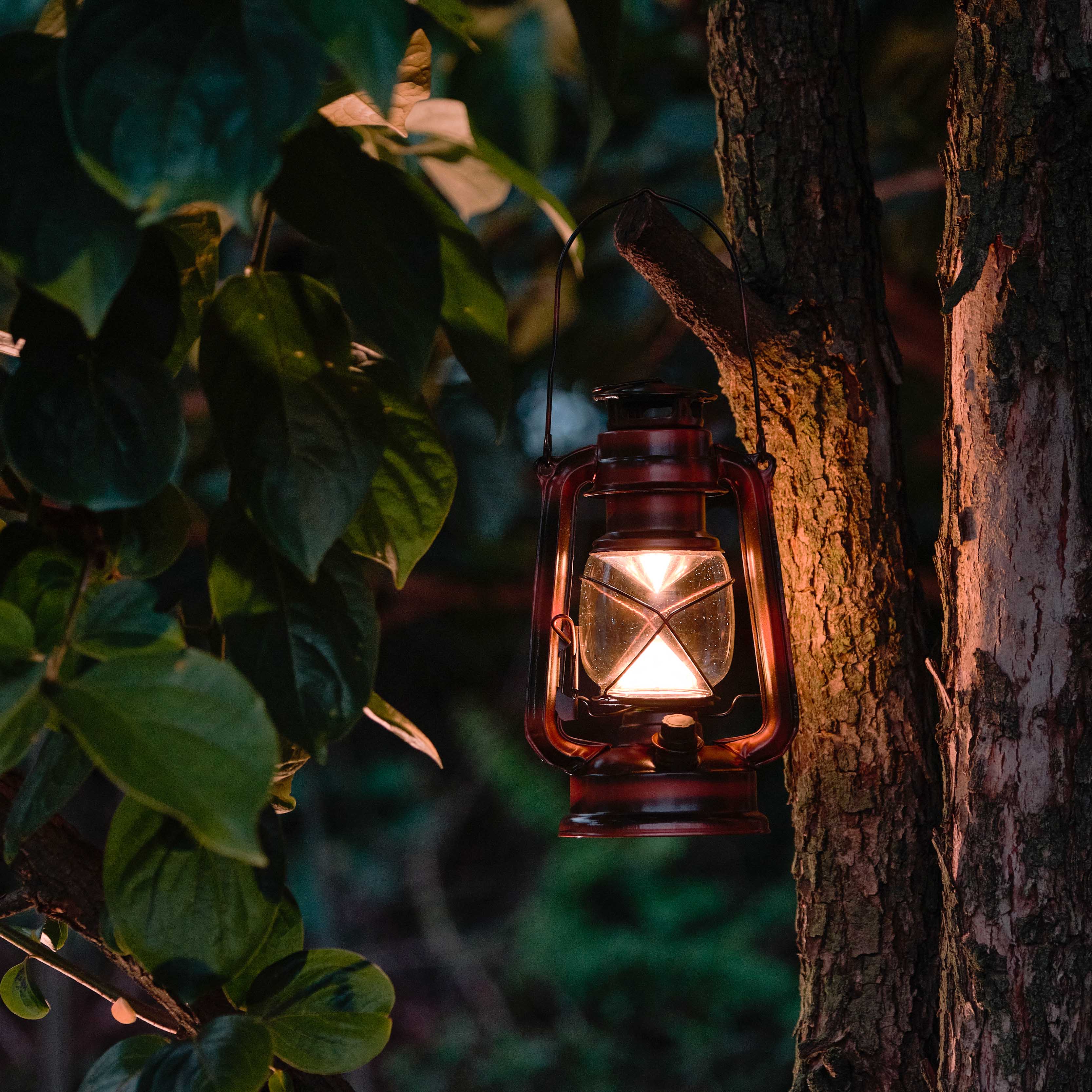 [캠핑덕] 레트로 호야등 | 데얼스 아웃도어 전문 플랫폼