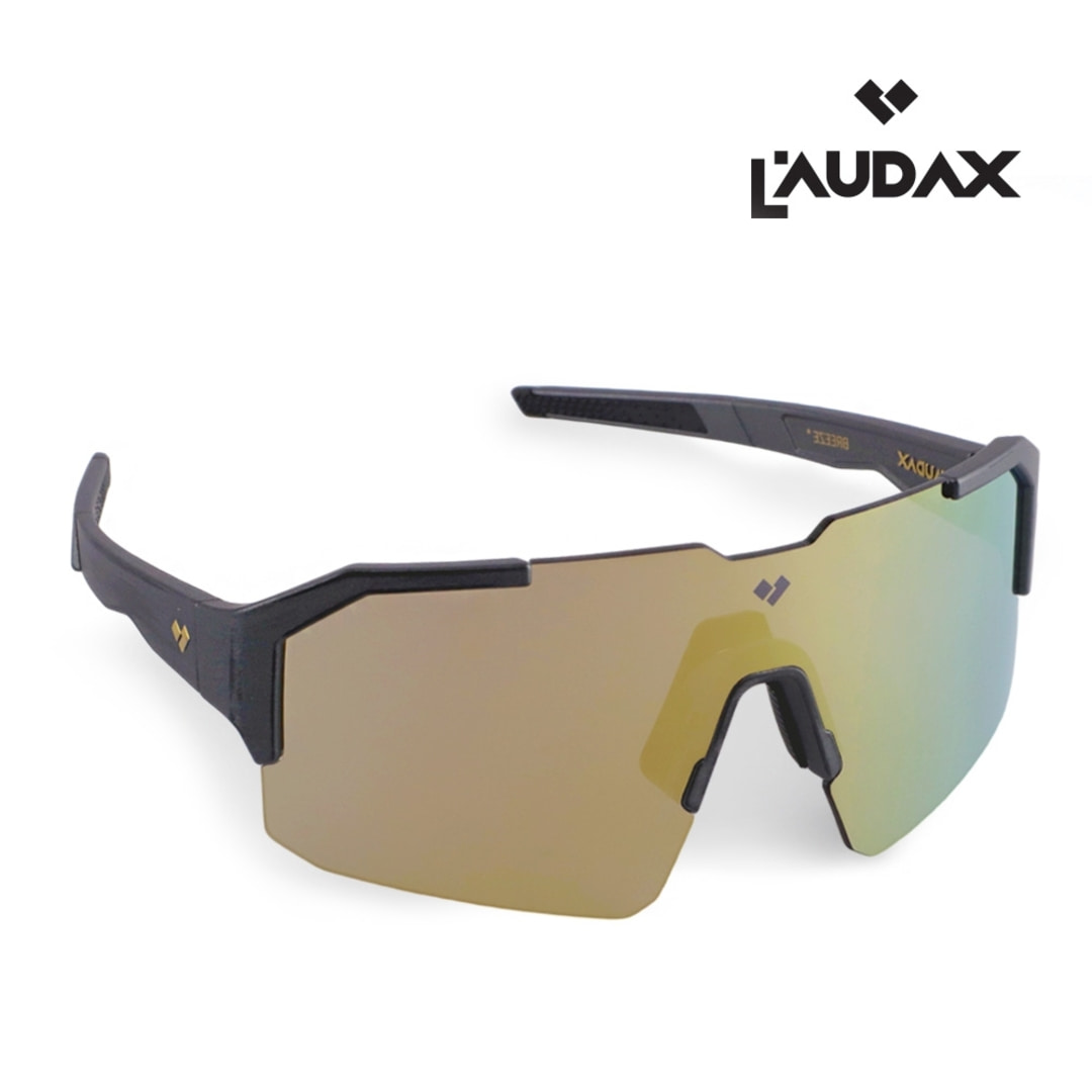 로닥스 브리즈 브러쉬드 그레이-골드미러 선글라스 | 데얼스 아웃도어 전문 플랫폼